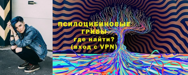 винт Лабытнанги
