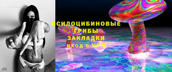 винт Лабытнанги